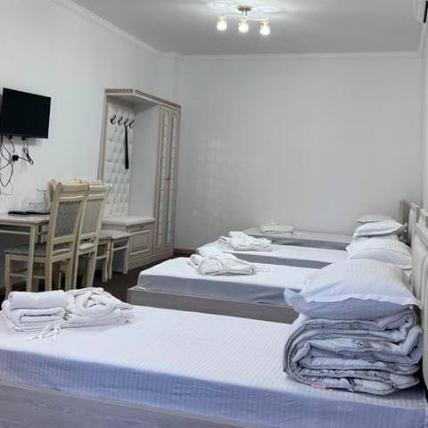 Санаторий Inju   Resort Сарыагаш. Номер Стандарт+