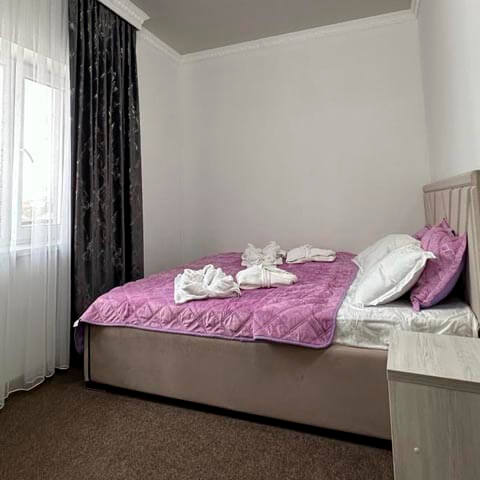 Санаторий Inju   Resort Сарыагаш. Номер Стандарт+